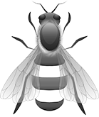 Abeja reina