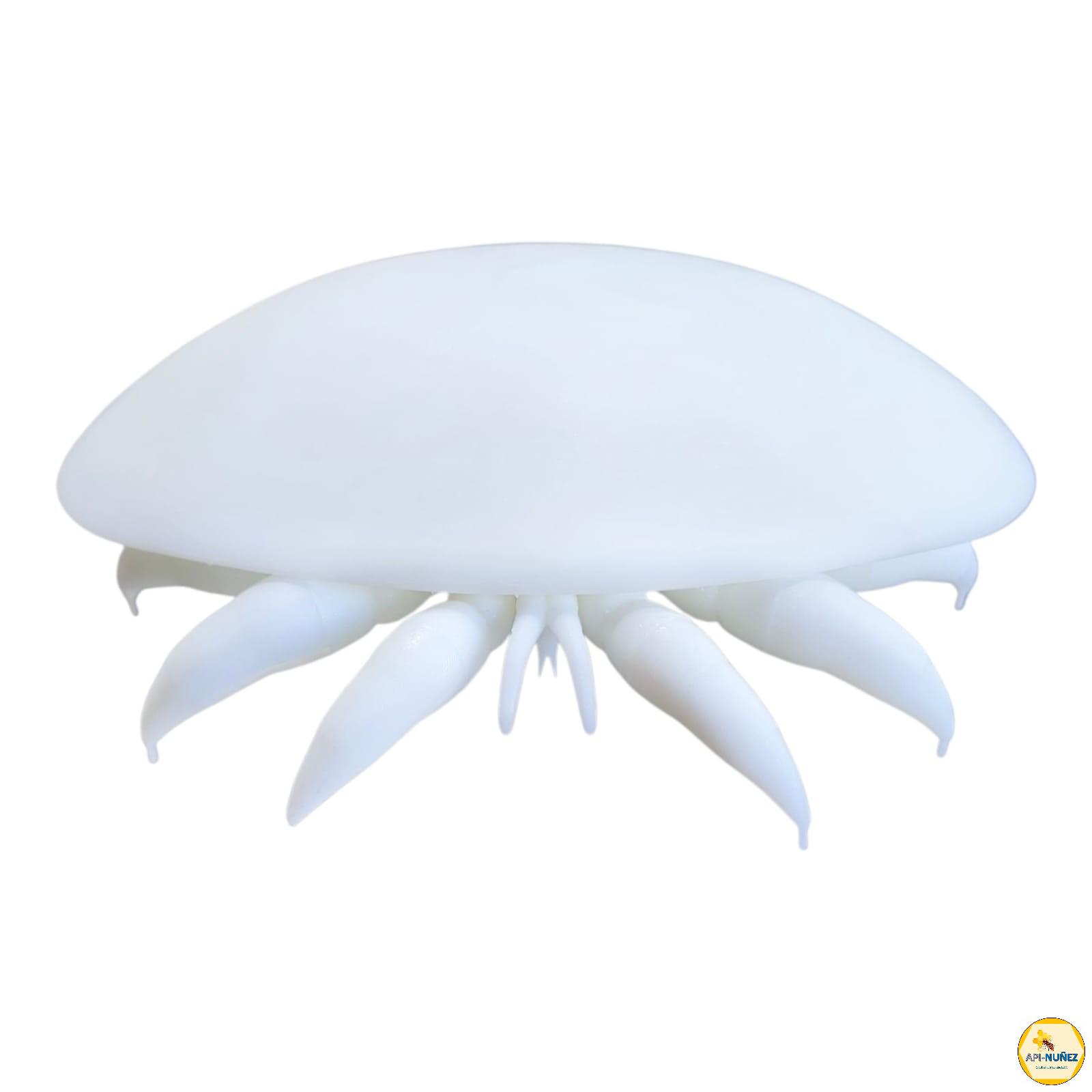 VARROA DE RESINA DE 14X10 CM